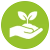 Nurturing<br>Environment